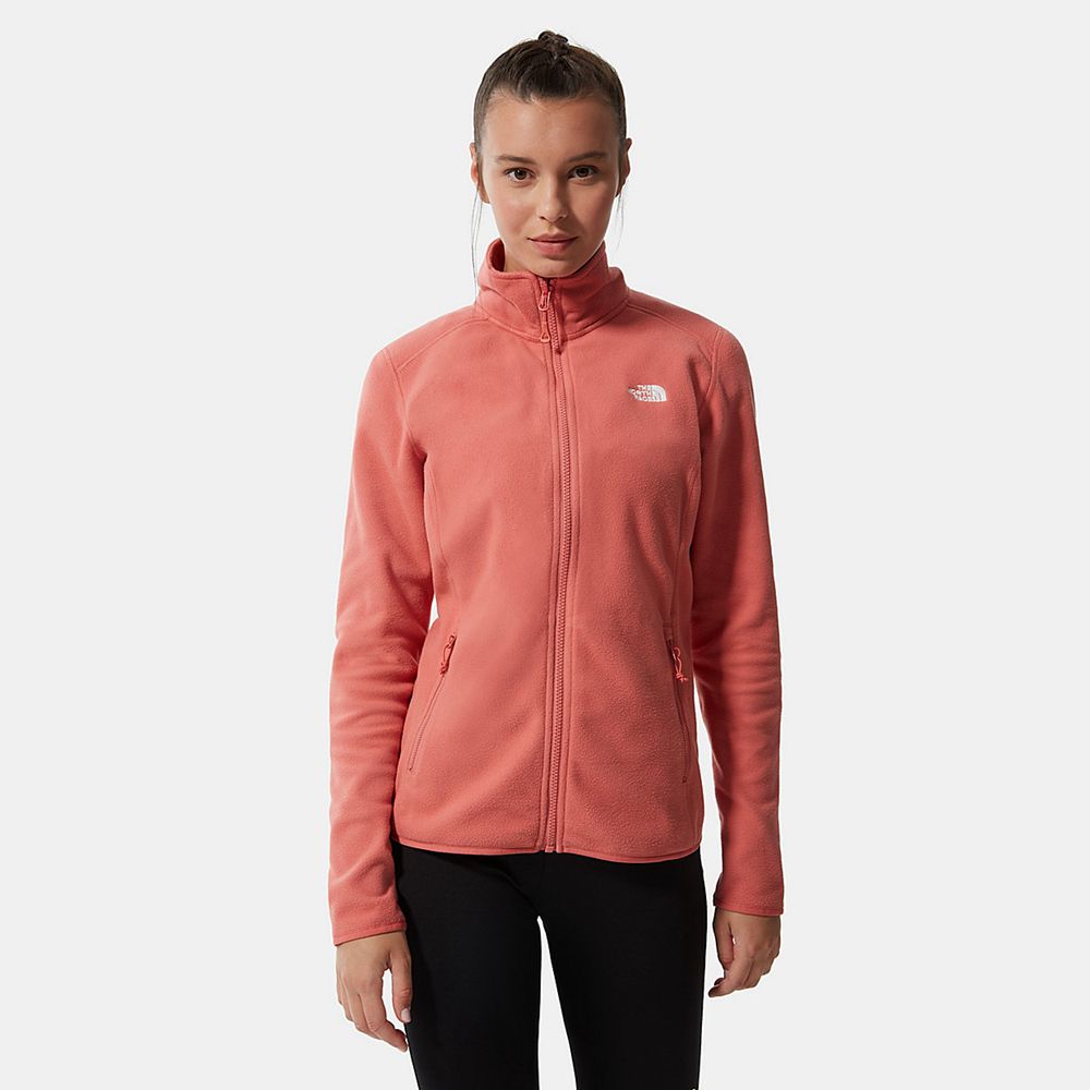 The North Face Fleece Womens Australia - The North Face 100 Glacier Full-Zip Rose Skiing And Snowboa